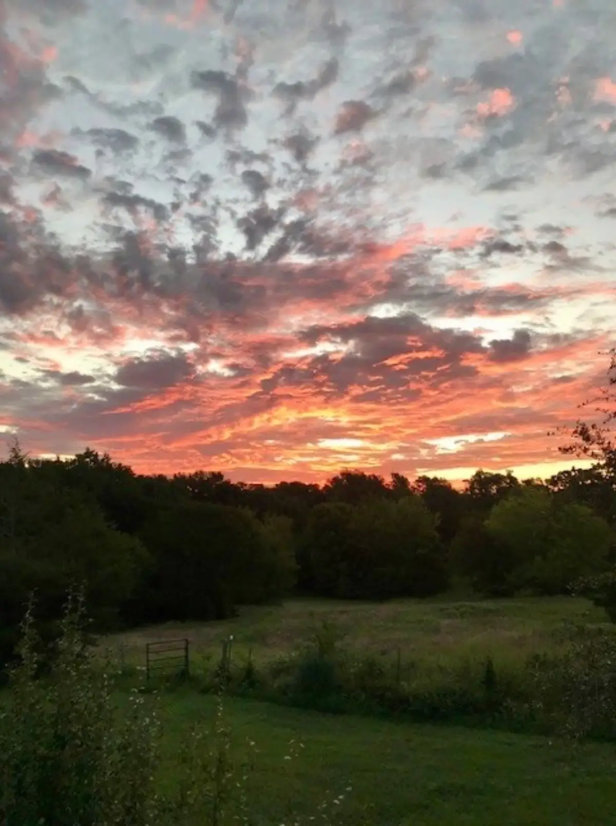 TBD County Road 2320, Terrell, TX 75160 - #1