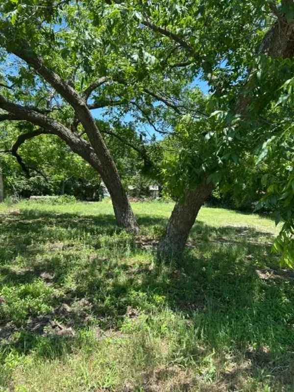116 W Walnut Street, Whitewright, TX 75491