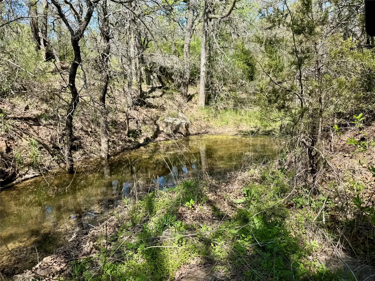 TBD Fm 1885, Perrin, TX 76486 - #1