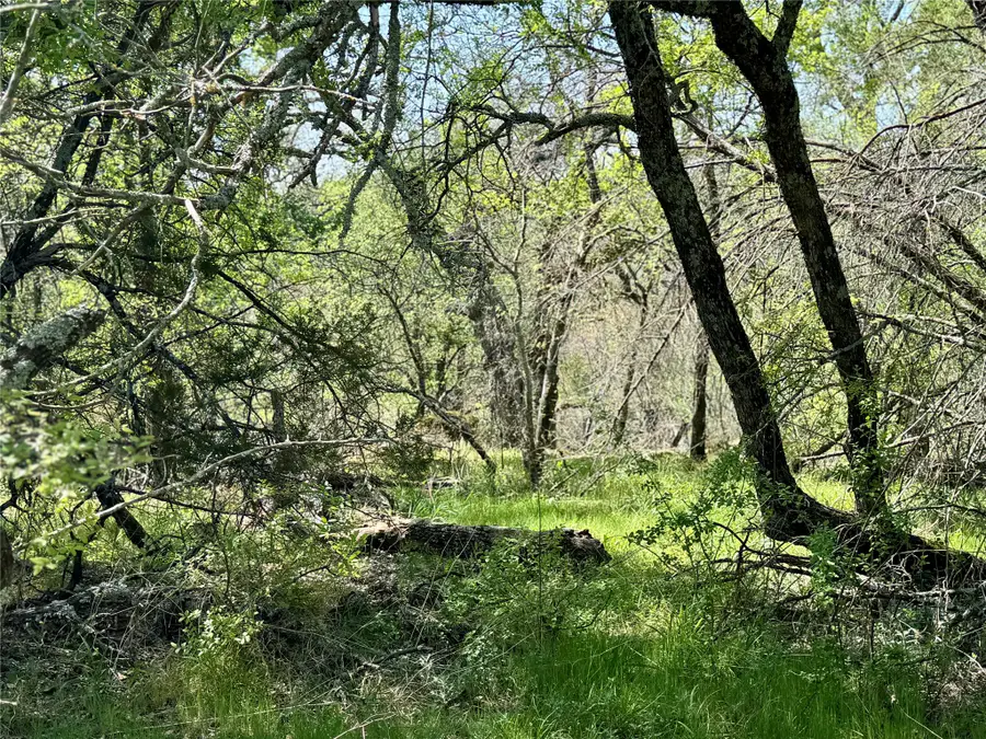 TBD Fm 1885, Perrin, TX 76486 - #2
