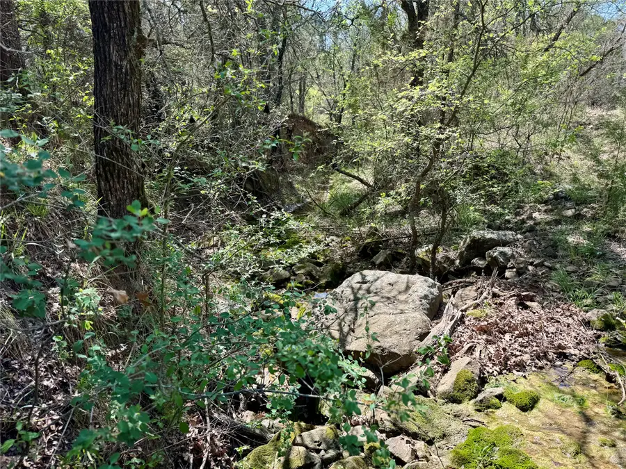 TBD Fm 1885, Perrin, TX 76486 - #3
