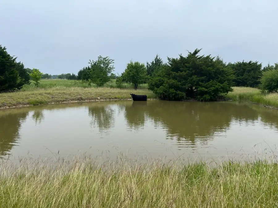 5250 County Road 304, Grandview, TX 76050 - #2