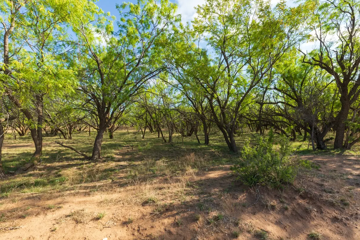 TBD Farm Market 600 Highway, Haskell, TX 79521 - #1