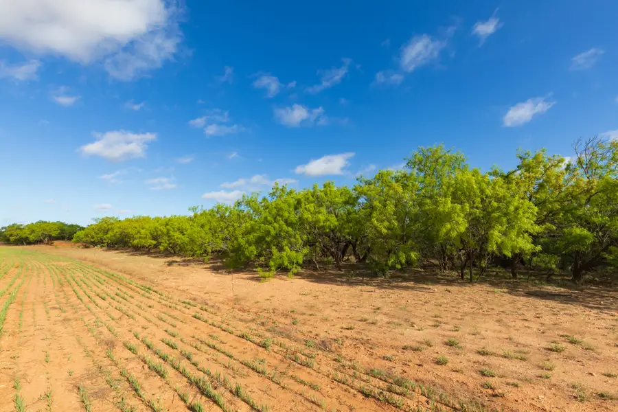 TBD Farm Market 600 Highway, Haskell, TX 79521 - #3