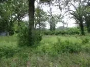 6489 S Fm 779, Alba, TX 75140 - #2