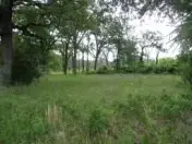 6489 S Fm 779, Alba, TX 75140 - #3