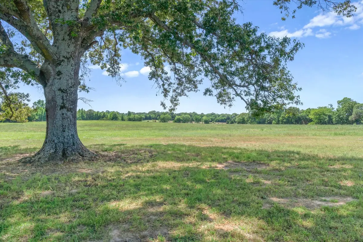 TBD County Road 4509, Ben Wheeler, TX 75754 - #1