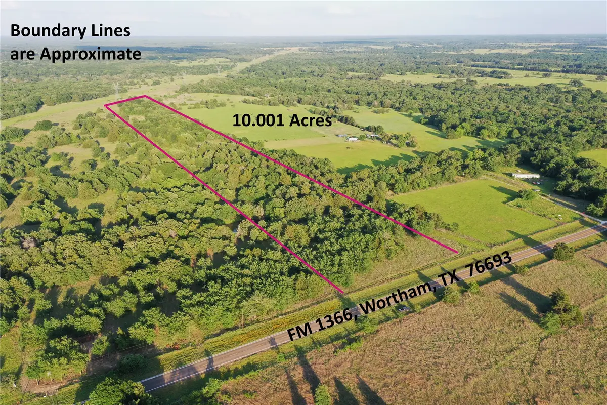 Tract 13 Fm 1366, Wortham, TX 76693 - #1