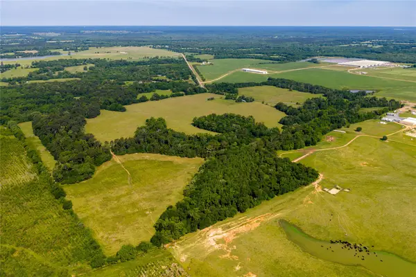 13888 Fm 556, Pittsburg, TX 75686