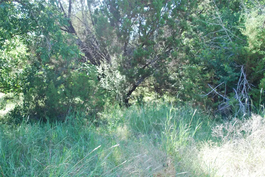 1306 Overlook Drive, Whitney, TX 76692 - #2
