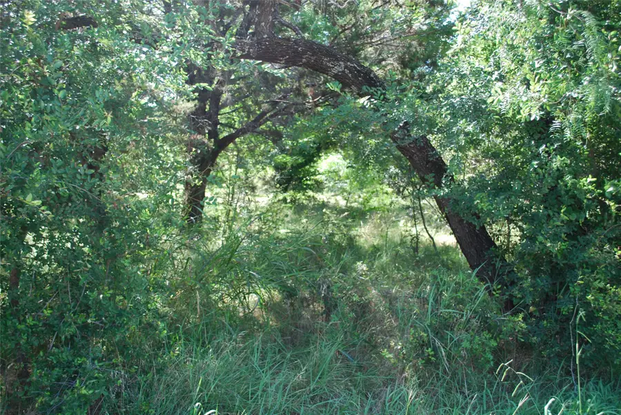 1306 Overlook Drive, Whitney, TX 76692 - #3