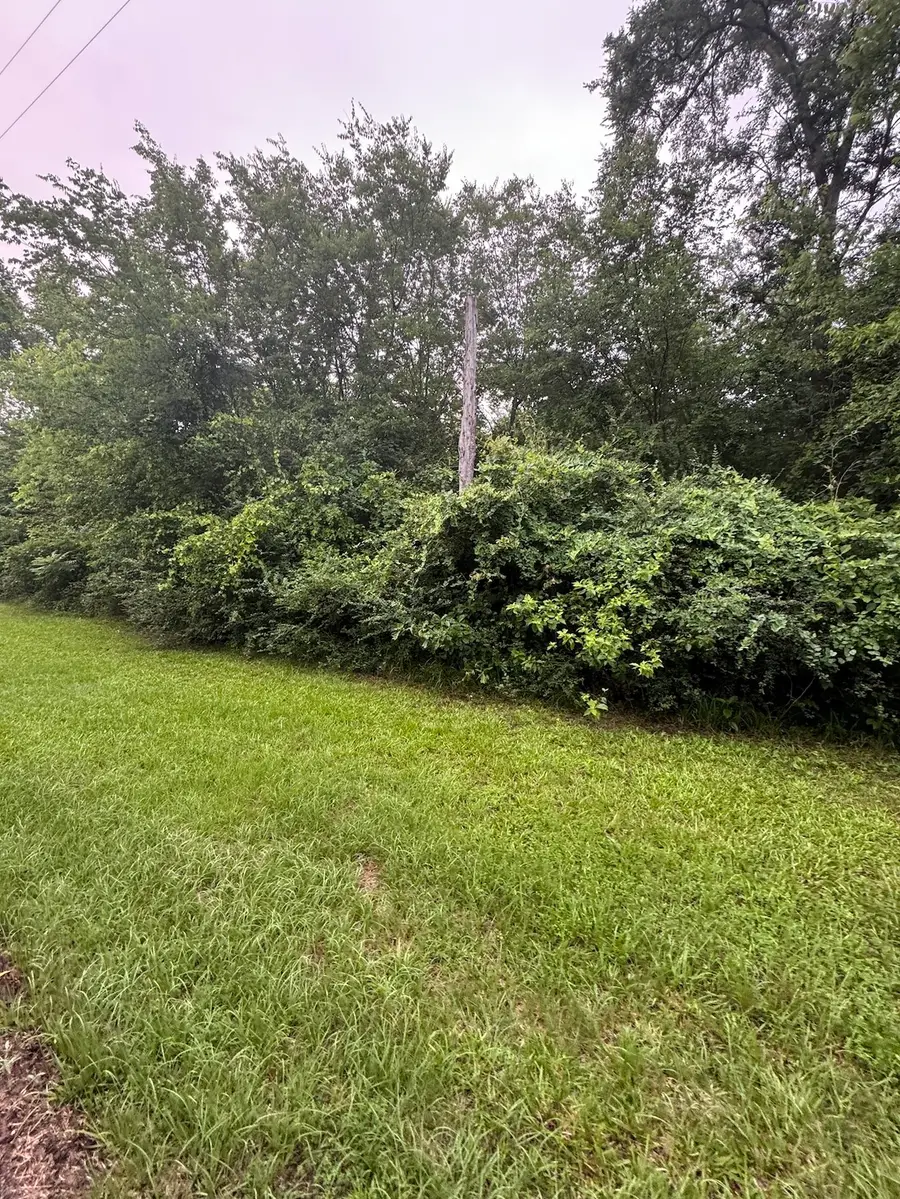 TBD 0 Private Road 4326, Mount Pleasant, TX 75455 - #2