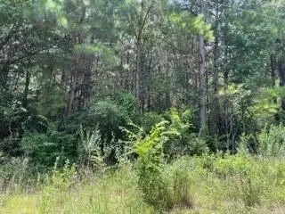 LOT 9 Fm 556, Pittsburg, TX 75686 - #2