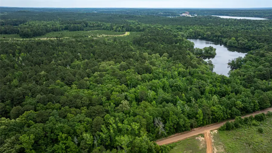 0 Victory School Road, Avinger, TX 75630 - #2