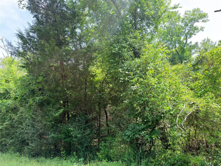 TBD Cr 261, Oakwood, TX 75855 - #2