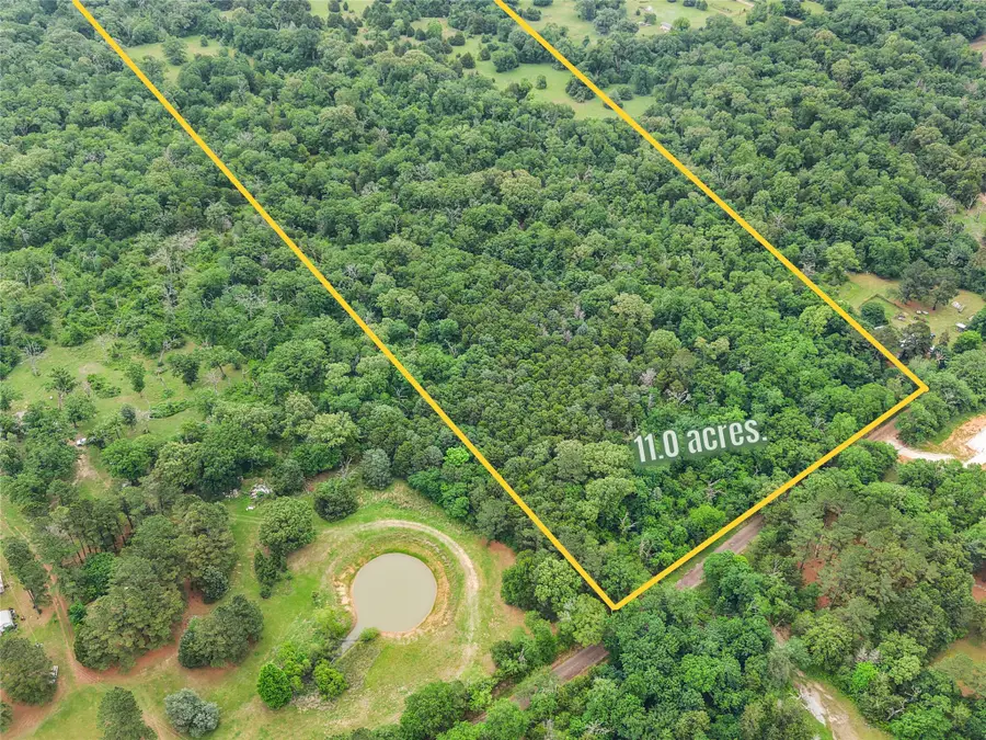 TBD Cr 261, Oakwood, TX 75855 - #3