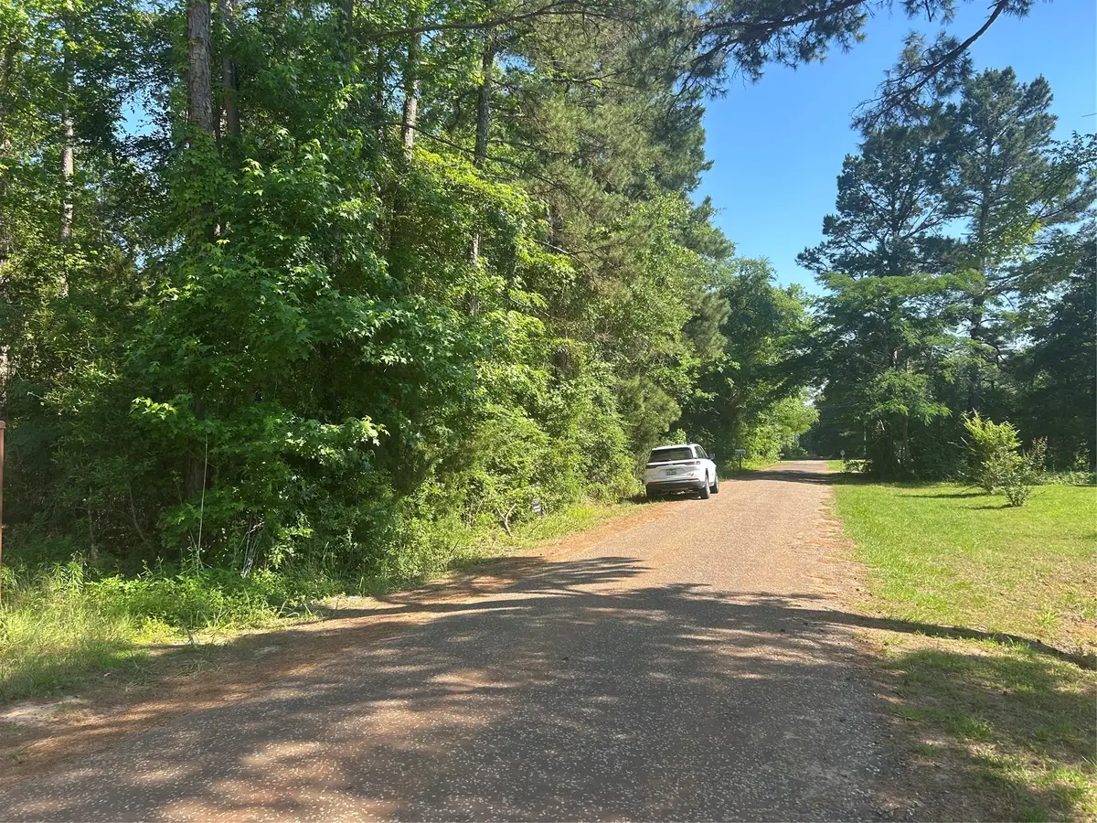 1210 San Saba, Bullard, TX 75757 - #1