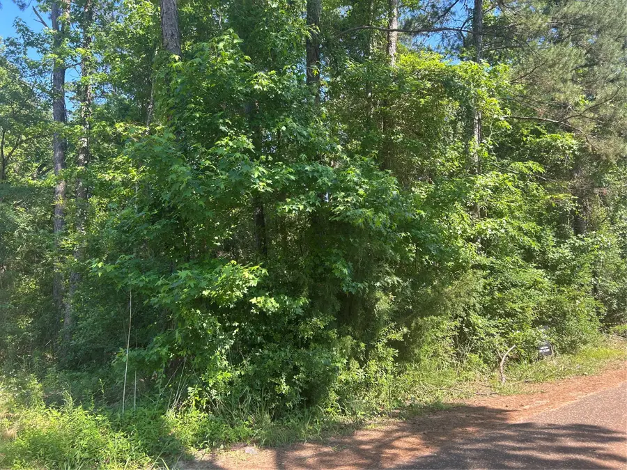 1210 San Saba, Bullard, TX 75757 - #3