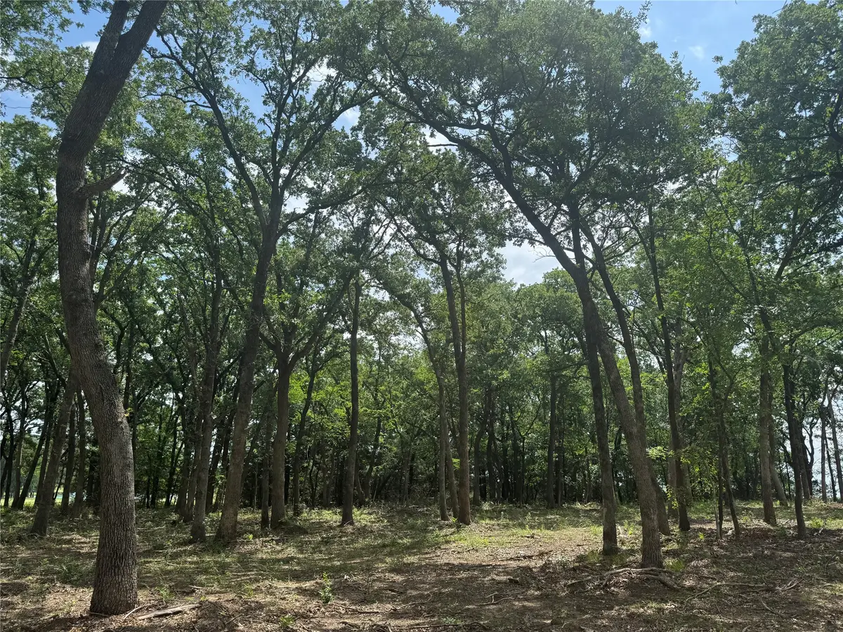 1216 Buck Trail, Pottsboro, TX 75076 - #1