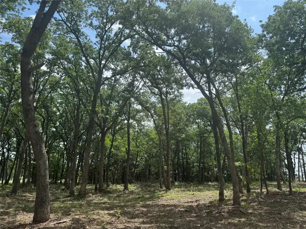 1216 Buck Trail, Pottsboro, TX 75076