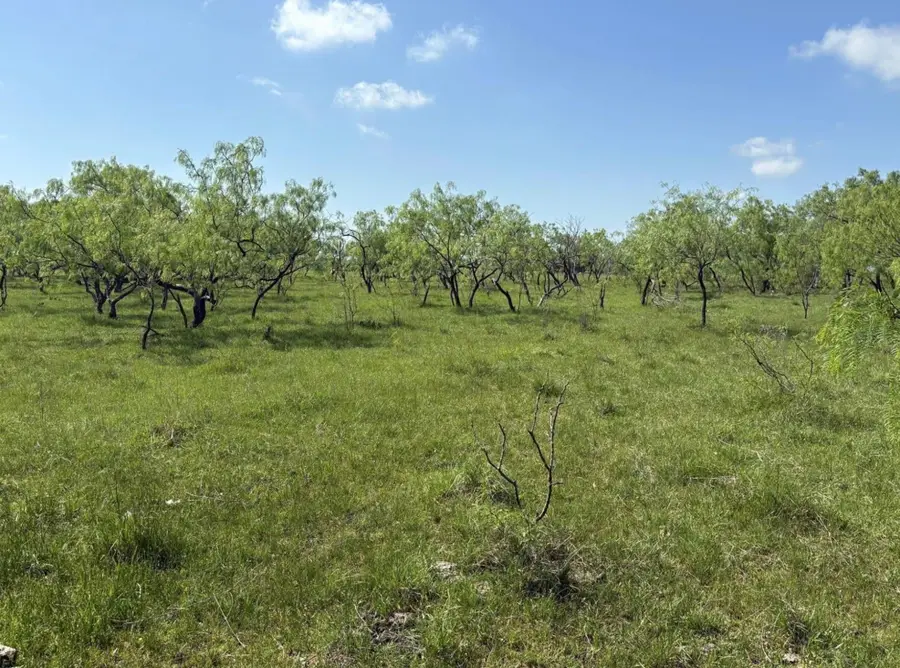 TBD 00 County Road 4160, Frost, TX 76641 - #3