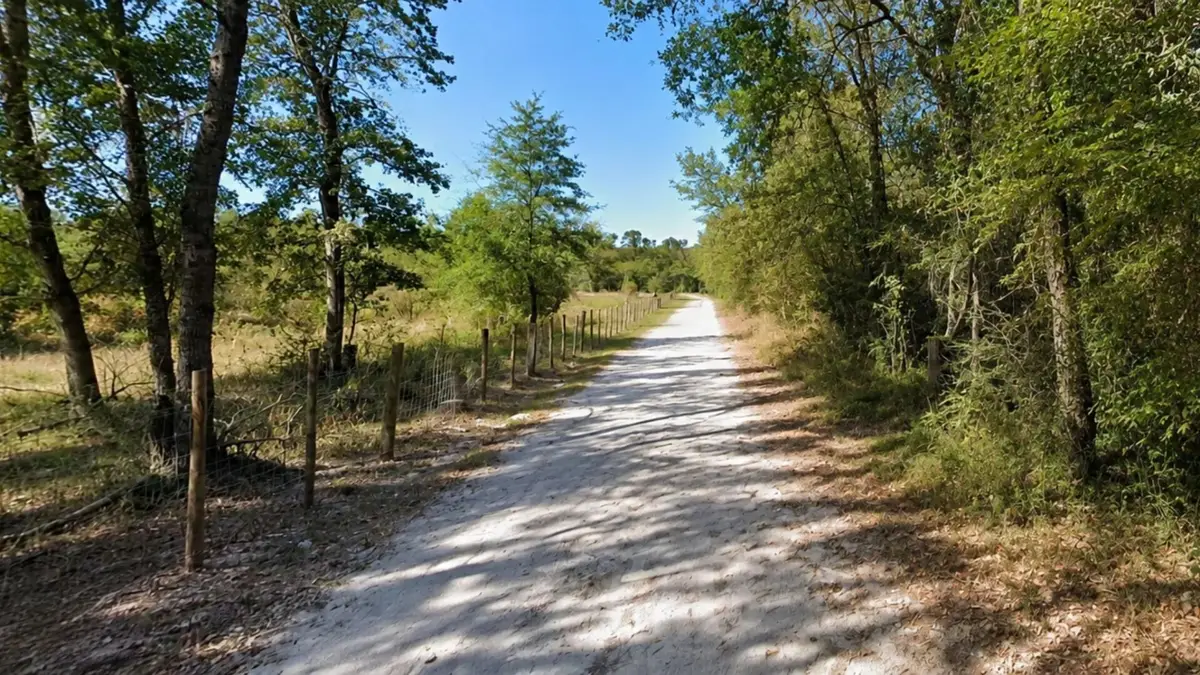 Lot 7 Dryden Street, Trinity, TX 75862 - #1