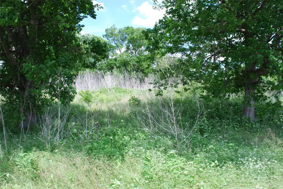 129 Lcr 300, Mart, TX 76664 - #3