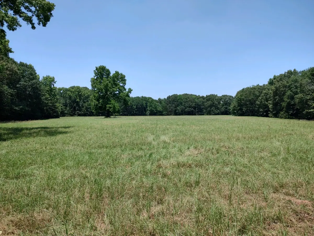 TBD 55.644 Acres County Road 1807, Yantis, TX 75497 - #1