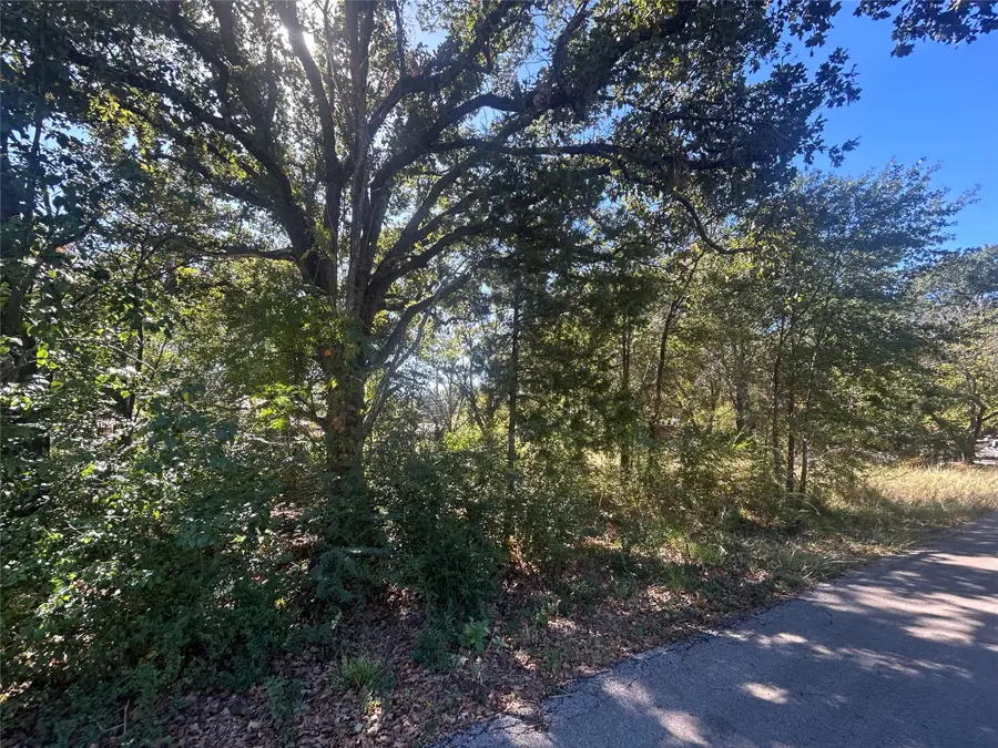 00 Bluebonnet Drive, Gun Barrel City, TX 75156 - #2