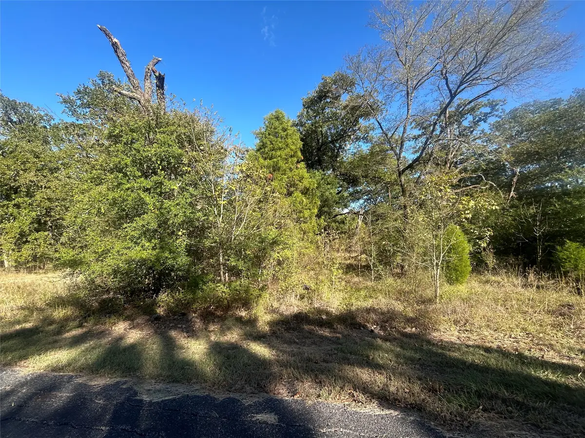 57 Point Lavista, Malakoff, TX 75148 - #1