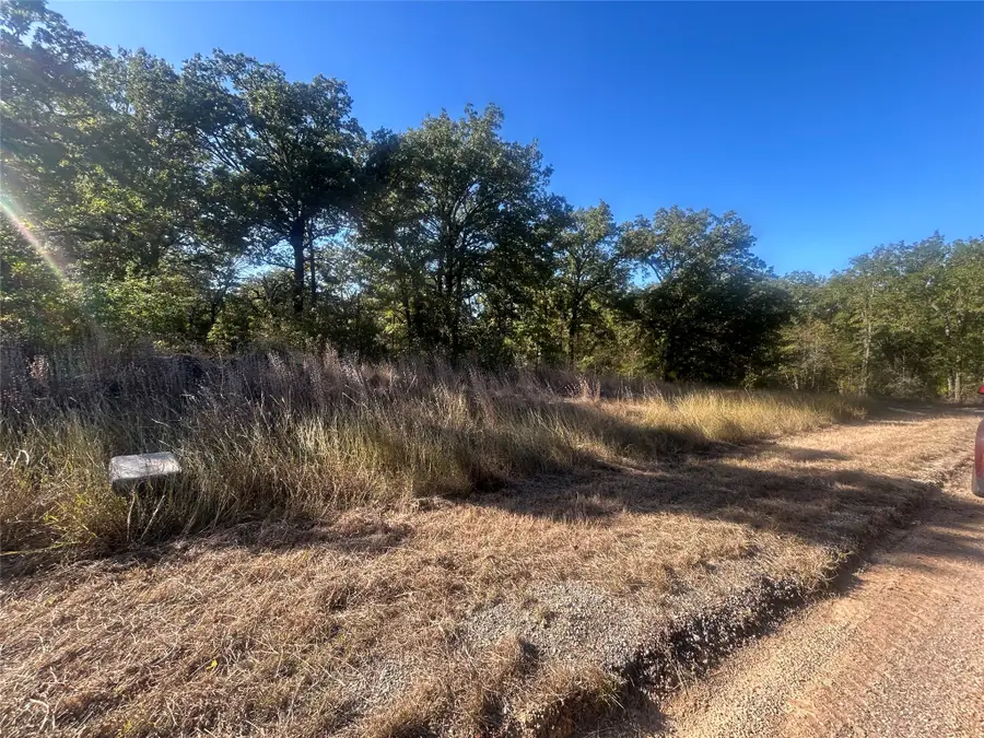 57 Point Lavista, Malakoff, TX 75148 - #3