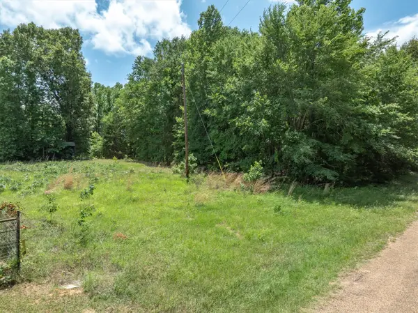 TBD Vz County Road 4909, Ben Wheeler, TX 75754