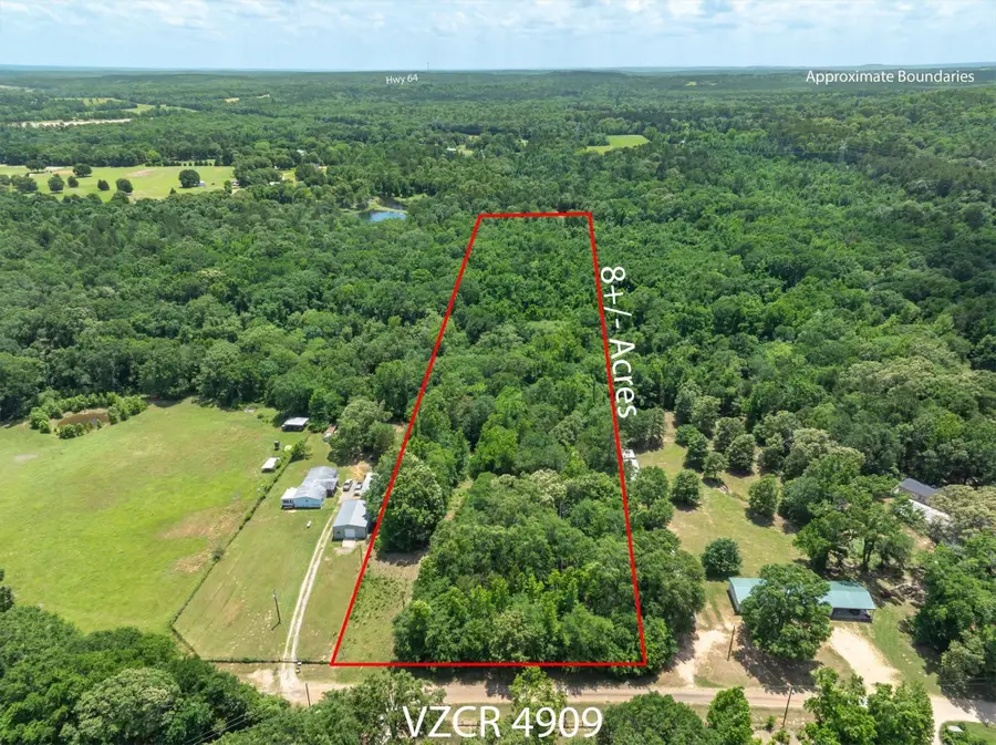 TBD Vz County Road 4909, Ben Wheeler, TX 75754 - #2