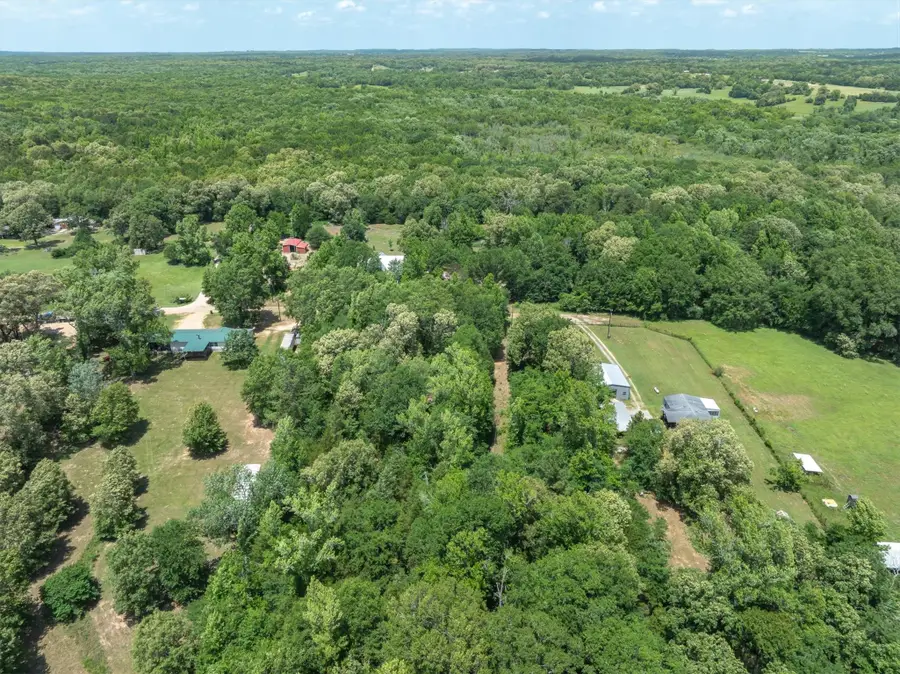 TBD Vz County Road 4909, Ben Wheeler, TX 75754 - #3