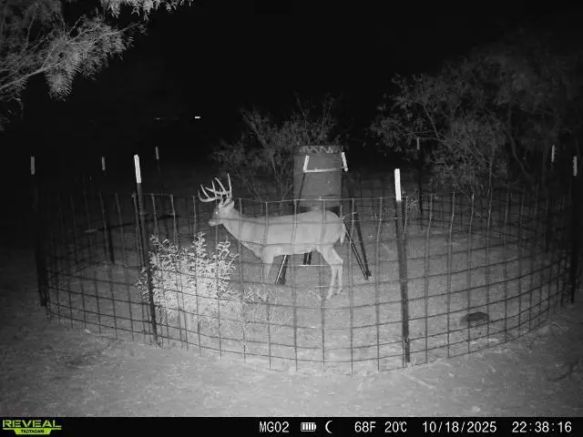 600 Fm 600, Haskell, TX 79553 - #3