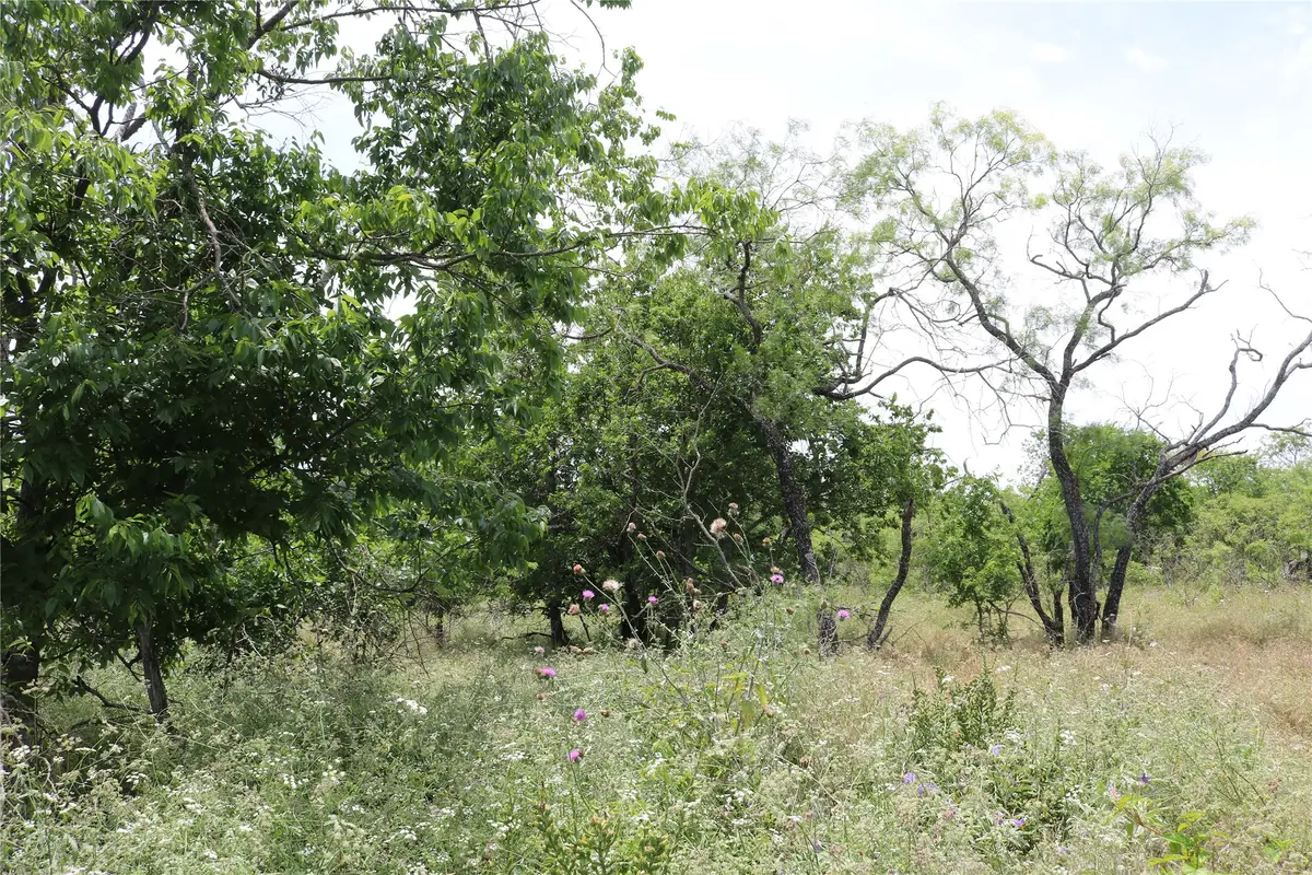 000 State Highway 6, Dublin, TX 76446 - #1
