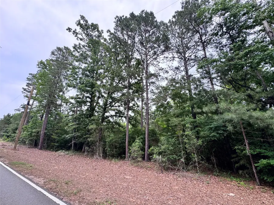 0 Plain Dealing Highway, Plain Dealing, LA 71064 - #3