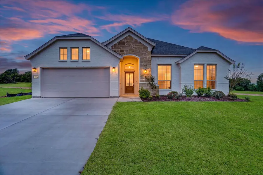 321 Skeen Peak, Springtown, TX 76082 - #3