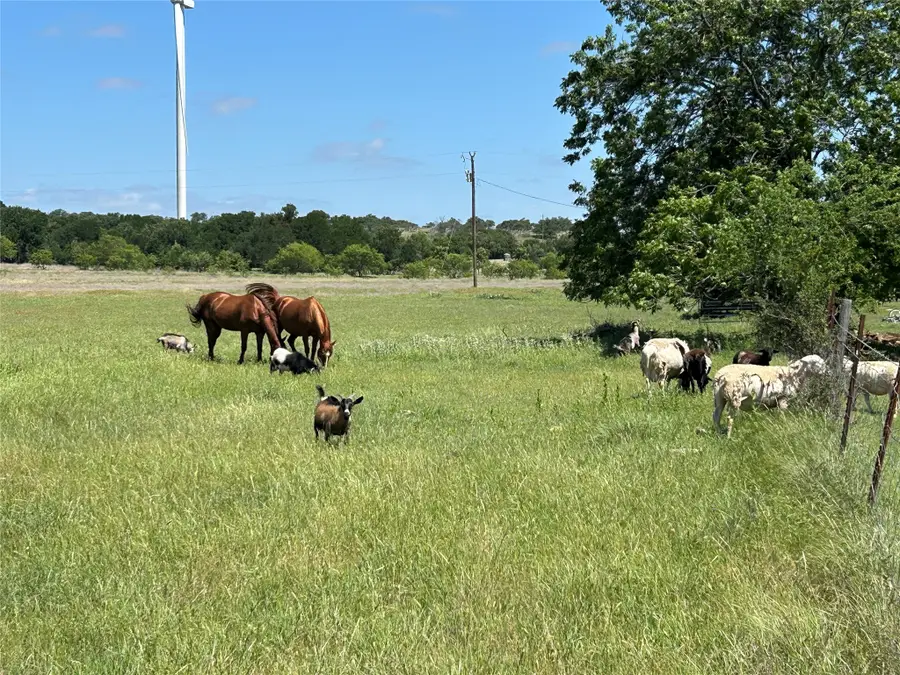 495 Fm 2005, Goldthwaite, TX 76844 - #2