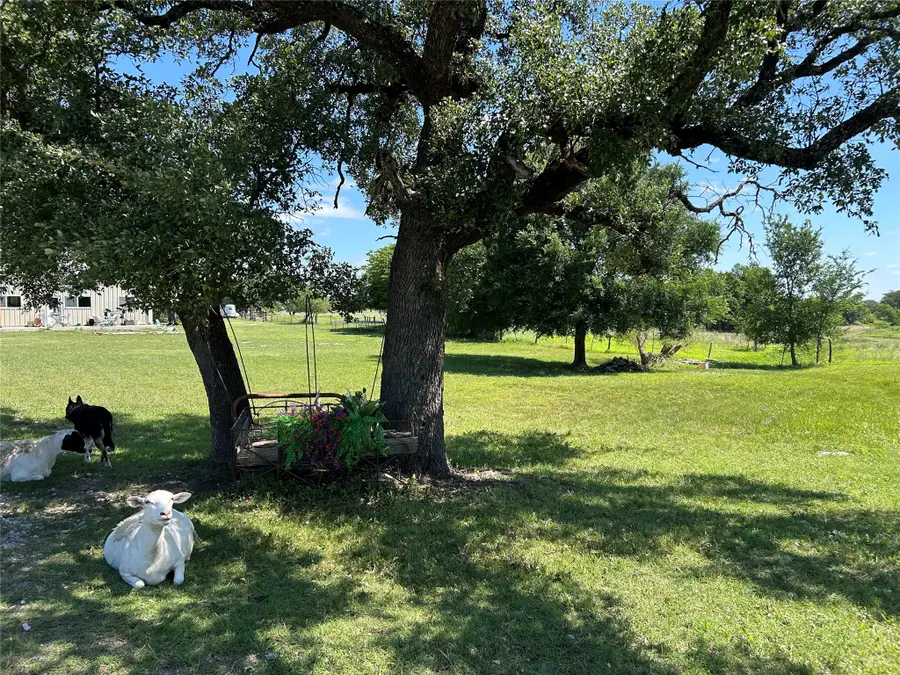 495 Fm 2005, Goldthwaite, TX 76844 - #3