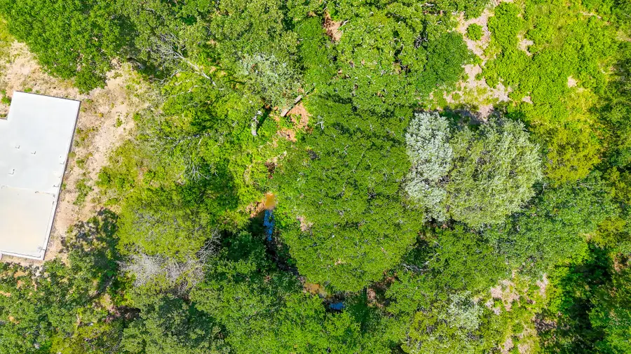 Lot 141 Shenandoah Drive, Streetman, TX 75859 - #3