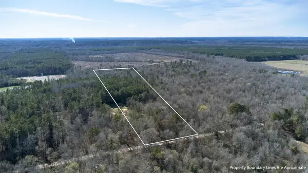TR5 18.27 Acres County Rd 3071, De Berry, TX 75639