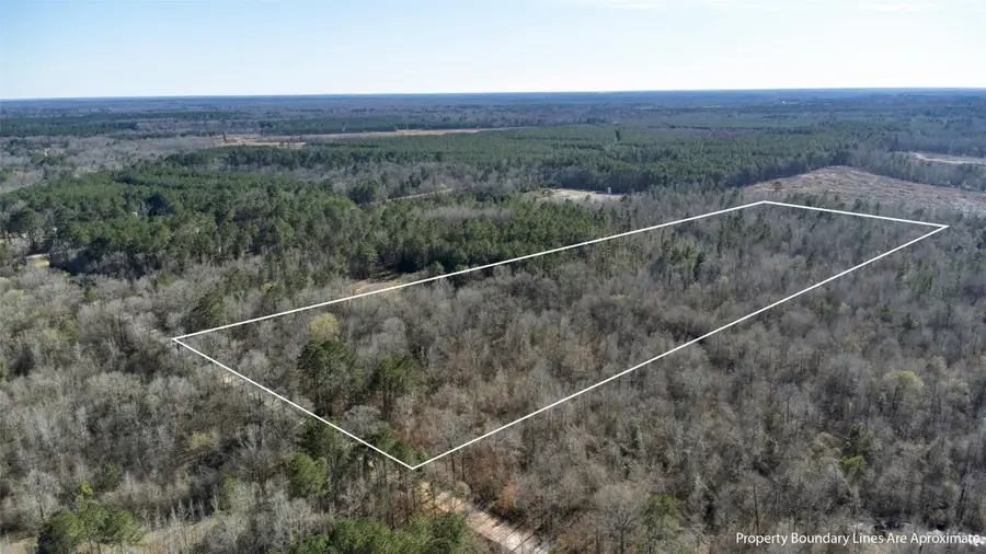 TR5 18.27 Acres County Rd 3071, De Berry, TX 75639 - #2