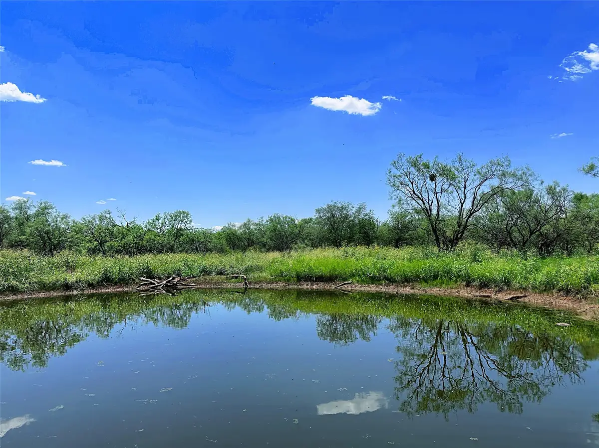 TBD (WEST TRACT) County Road 356, Anson, TX 79501 - #1