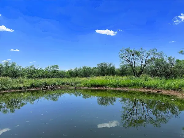 TBD (WEST TRACT) County Road 356, Anson, TX 79501