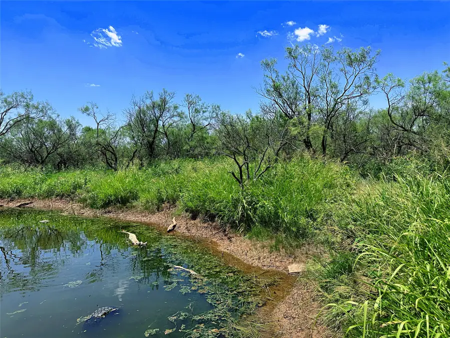 TBD (WEST TRACT) County Road 356, Anson, TX 79501 - #2