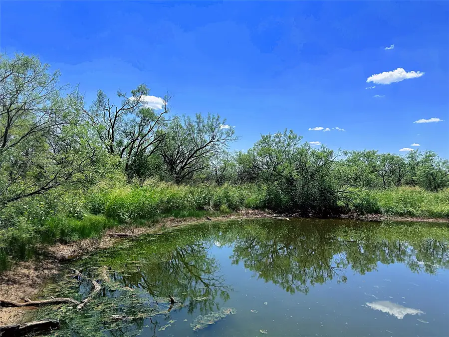 TBD (WEST TRACT) County Road 356, Anson, TX 79501 - #3