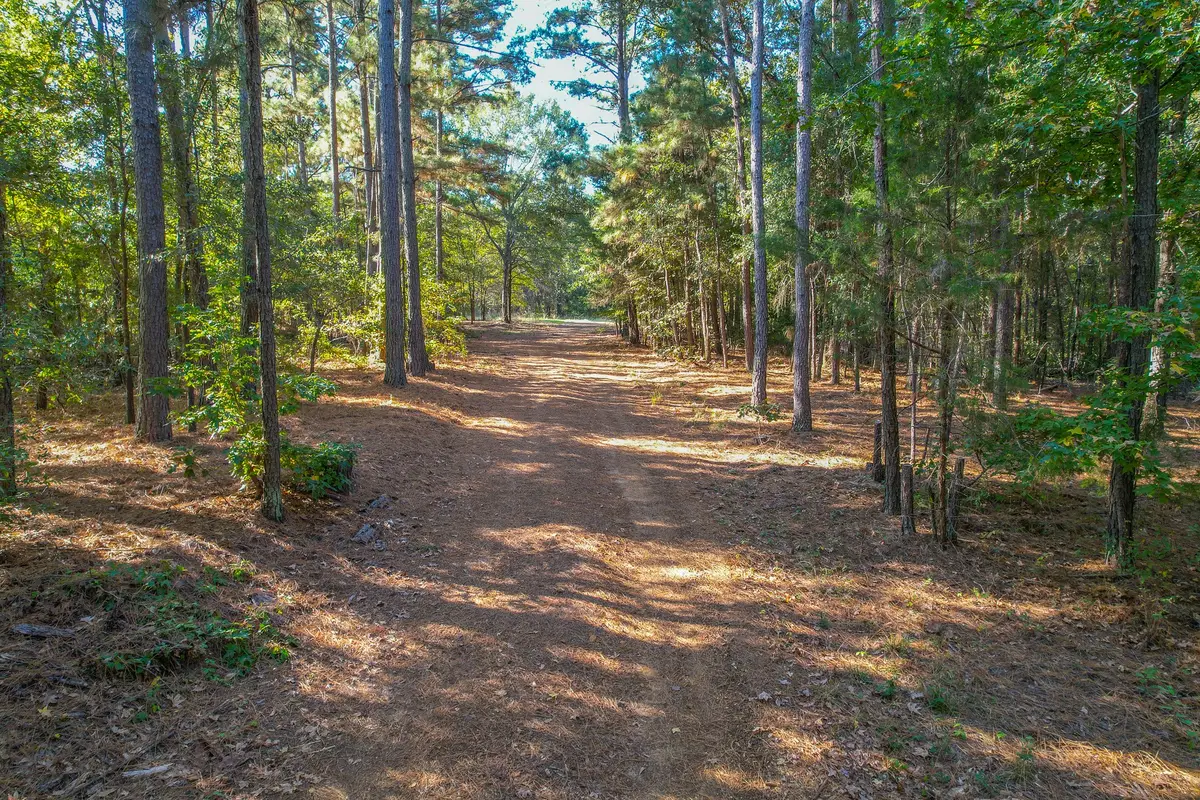 7821 Cr 3409, Chandler, TX 75758 - #1