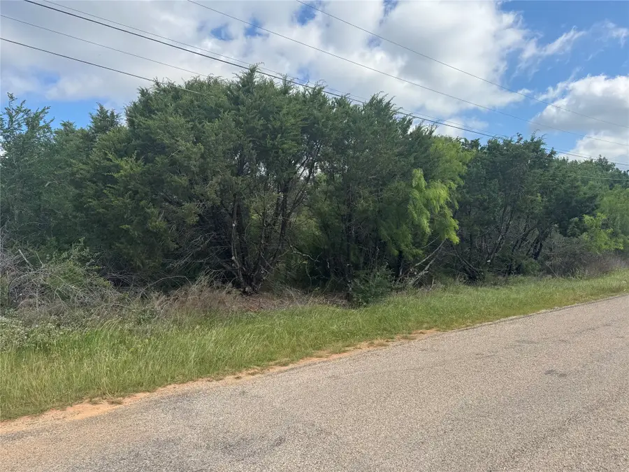 201 Wilderness Trail, Granbury, TX 76049 - #2