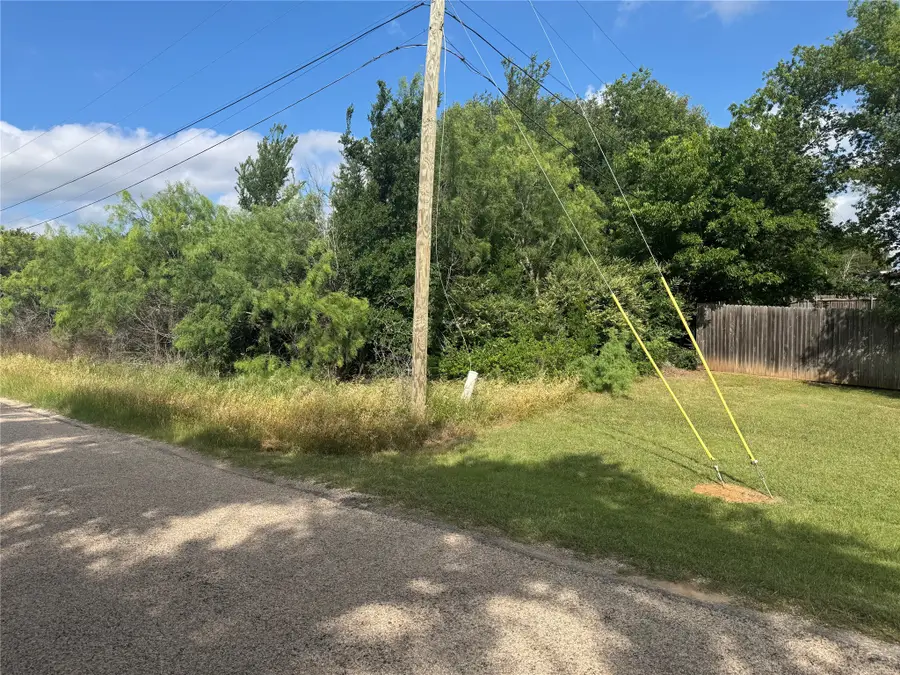 201 Wilderness Trail, Granbury, TX 76049 - #3